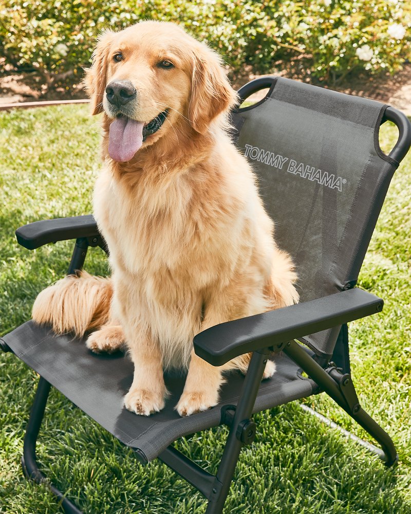 Tommy Bahama Value - Tommy Bahama Excursion Chair