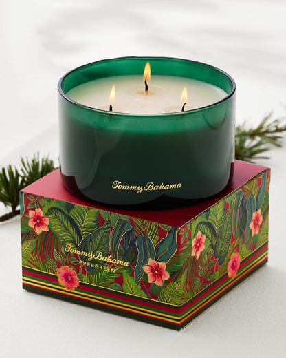 Tommy Bahama Exclusive - Evergreen 14.5-oz. Boxed 3-Wick Candle